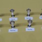 Cups upright for their final time